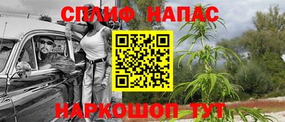 jwh Ярославль