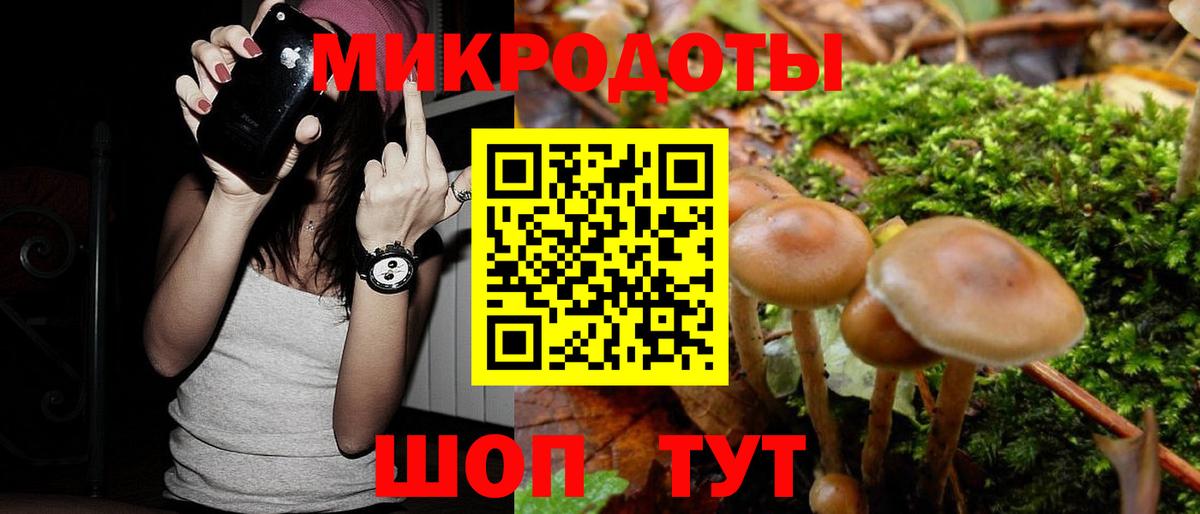 Галлюциногенные грибы GOLDEN TEACHER  Псилоцибиновые грибы мицелий  Вход с VPN  Ахтубинск 